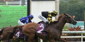 Golden Monkey will partner jockey Bruno Queiroz for the first time in the Group 1 Raffles Cup.