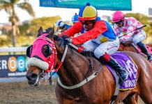 Howells may be the man to follow