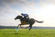 Big Rock well backed to claim G1 Prix Jacques le Marois at Deauville