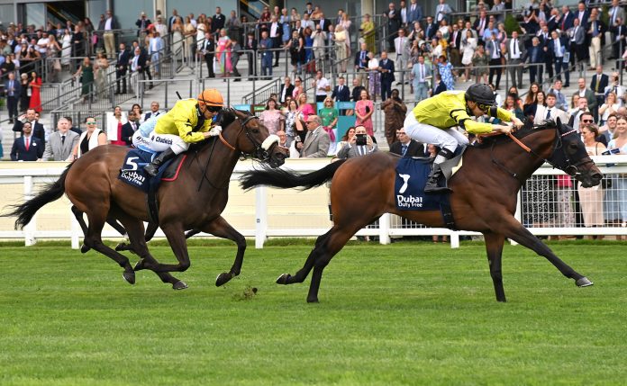The Dubai Duty Free Shergar Cup at Ascot racecourse on Saturday 12th August 2023.