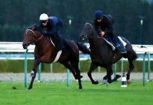 Ace Impact shaping up for the Arc under Cristian Demuro (white cap) this week at Deauville