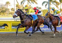 King Of The Gauls to take the crown