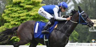 KHAYYAM looks ready to strike second up when he steps out in the 1175m Supreme C contest at Kuala Lumpur this Sunday.