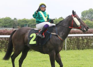 The lightly-raced TEOCHEW KID (3) has performed well this year, recording two wins from four starts.
