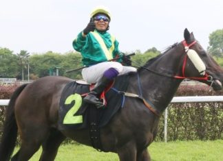 The lightly-raced TEOCHEW KID has performed well this year, recording three wins from seven starts.