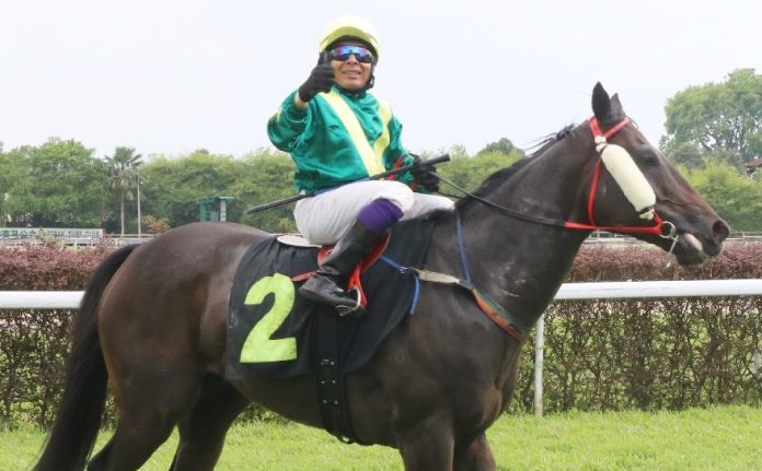 The lightly-raced TEOCHEW KID has performed well this year, recording three wins from seven starts.