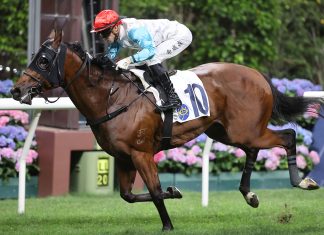 Lyle Hewitson at Happy Valley in Hong Kong