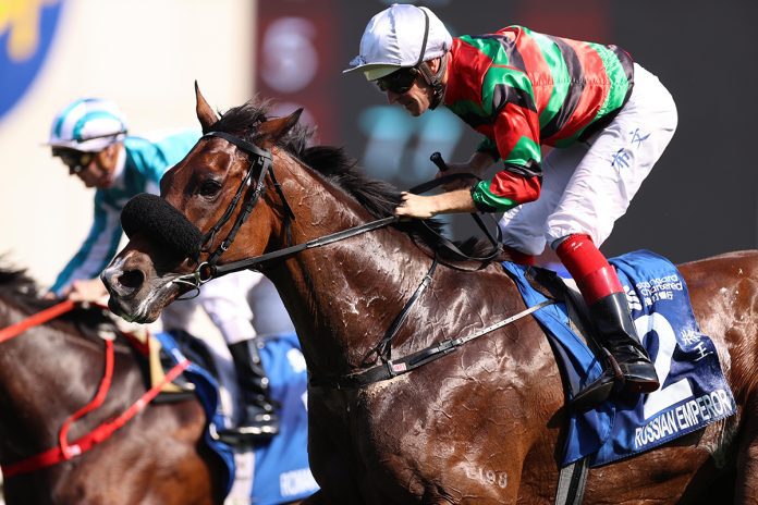 2023101201503_01 Hong Kong Champion Stayer Russian Emperor.