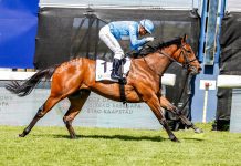 Winter Cloud makes impressive return to racing action Winter Cloud began her 3yo campaign with a fluent victory in the last race at Hollywoodbets Durbanville on Saturday