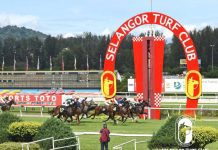 Launch of betting on Selangor races in South Africa Selangor racing action.