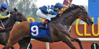 Ansu is chasing a third straight success in KL on Saturday.