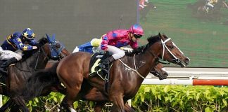 Bestseller will partner new jockey Carlos Henrique in the Group 3 Committee's Prize on Saturday.