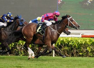 Bestseller will partner new jockey Carlos Henrique in the Group 3 Committee's Prize on Saturday.