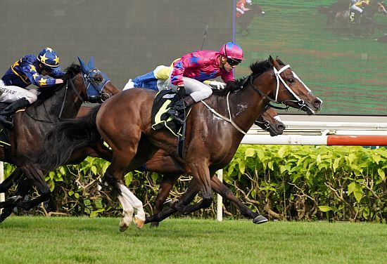 Bestseller will partner new jockey Carlos Henrique in the Group 3 Committee's Prize on Saturday.