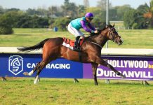 Sheer Speed Can Take Candy Town Home