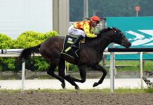 Condor set to soar, Master in search of more Luck Condor finds a winnable contest on Saturday.