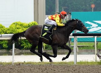 Condor finds a winnable contest on Saturday.