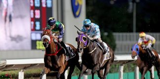 Youthful Deal (left) returns to his happy hunting ground on Sunday at Sha Tin.