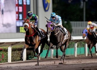 Youthful Deal (left) returns to his happy hunting ground on Sunday at Sha Tin.
