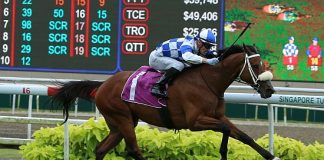 Hongkong Great seen here at his last win in the Group 1 Singapore Gold Cup last November.