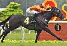 Olympia is well placed at Ipoh to bounce back to winning ways.