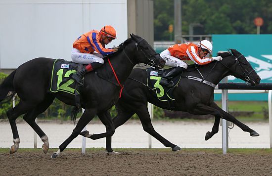 Pacific-Emperor-240623 Jockey Vlad Duric will take the reins for the first time on Pacific Emperor in the Group 3 New Year Cup.