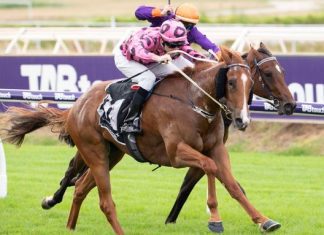 Ripcord is poised for a return to the winner's list.