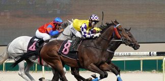 Sacred Gift (Iskandar Rosman, No 8) returns to winning ways in the Class 2 race.