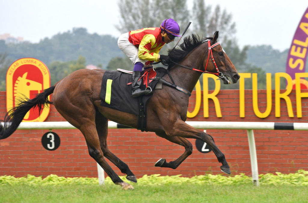 Arion Success puts paid to his rivals first-up in Malaysia with a smart win on debut.