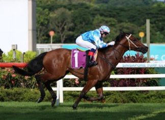Super Salute is "best weighted" in the Fortune Bowl.