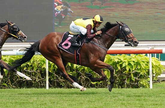 Top Field (Bruno Queiroz) seen here at his last-start win on 7 October.