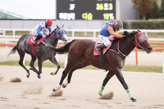 Winner's Man Cup Classic