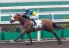 Youthful Deal returns to his happy hunting ground on Sunday at Sha Tin.