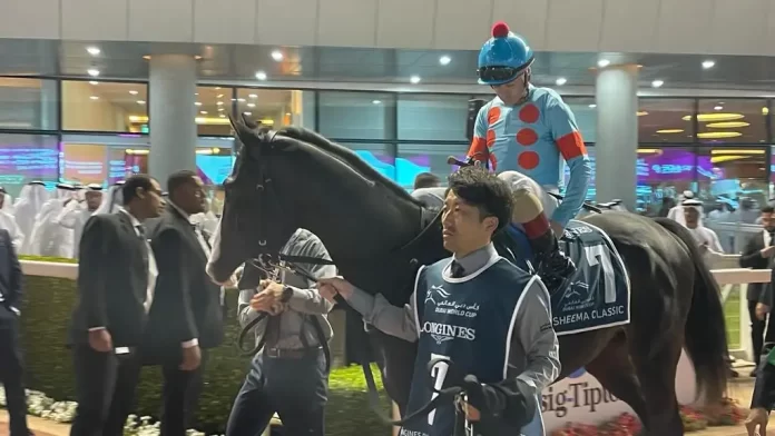 ac544c1b-1b0f-4d14-8524-9eee1c668441 Equinox stared again in the Tenno Sho (Autumn) (PA)