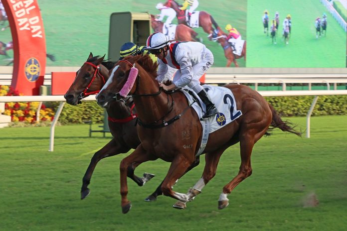 Stoltz claims his most important Hong Kong victory.