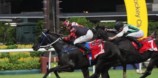 Dancing Code charges to victory at Happy Valley on 20 September.
