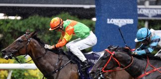 Healthy Healthy defies the opposition to clinch the LONGINES Cup.