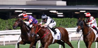 Denfield (No. 1) is a two-time winner at Happy Valley.