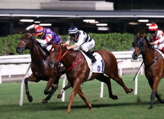 Denfield (No. 1) is a two-time winner at Happy Valley.