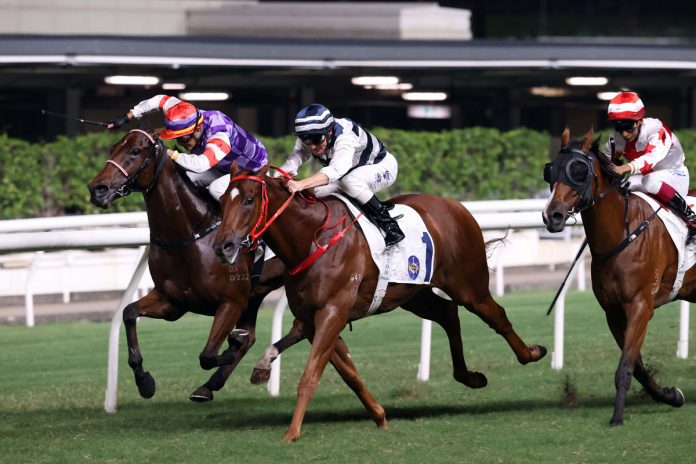 Denfield (No. 1) is a two-time winner at Happy Valley.