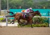 Raising Sixty-One is one of two runners for trainer Tim Fitzsimmons in the Group 3 Colonial Chief Stakes on Saturday.