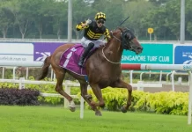 Golden Monkey carries top weight.