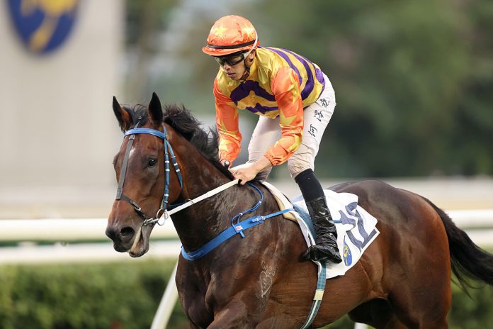 1_20230423-ST-R10-JCX35164o Vincent Ho will partner Straight Arron in the G2 BOCHK Jockey Club Cup (2000m).