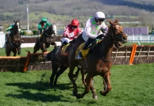 Vauban won the Triumph Hurdle at Cheltenham in 2022 (Mike Egerton/PA)
