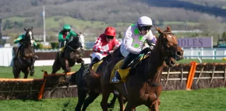 Vauban won the Triumph Hurdle at Cheltenham in 2022 (Mike Egerton/PA)