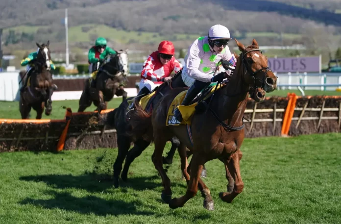 2.65916542 Vauban won the Triumph Hurdle at Cheltenham in 2022 (Mike Egerton/PA)