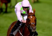 Vauban sparkles in Flemington gallop Vauban impressed at Flemington (John Walton/PA)