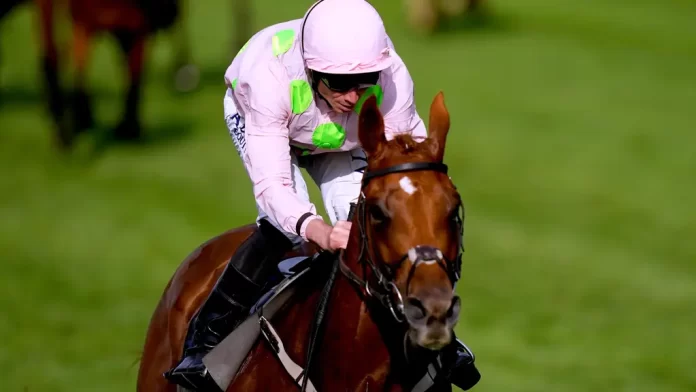 2.72690180 Vauban impressed at Flemington (John Walton/PA)