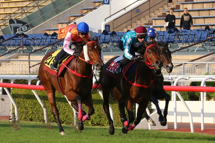 Romantic Warrior (middle) hits the line at Sha Tin.
