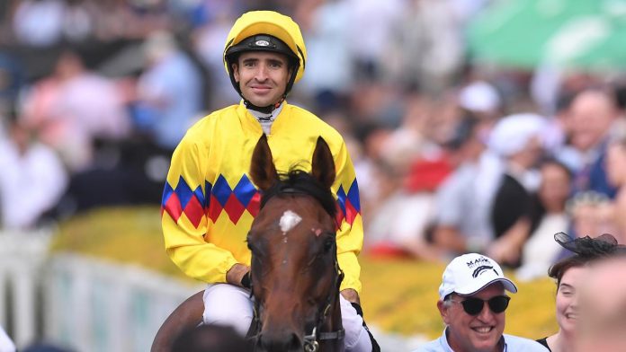 2d7e00e7a594f5b8332e9ba134f42bbb Jockey Michael Rodd is back riding winners after over two years on the sidelines.